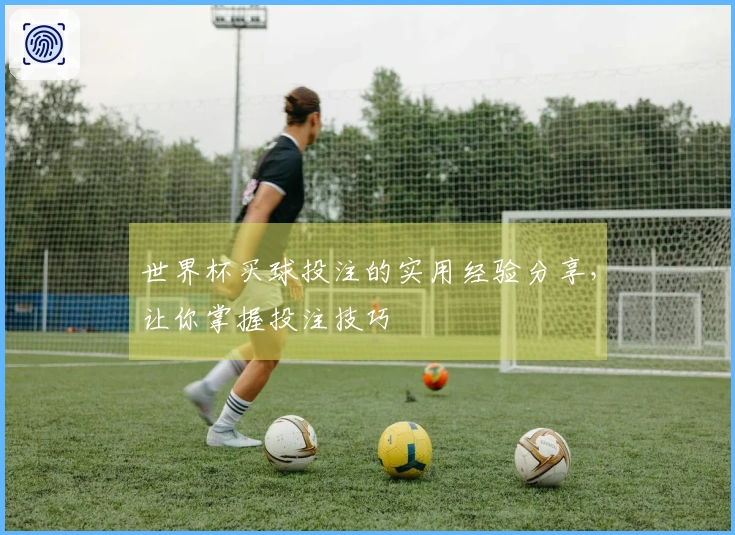 世界杯买球投注的实用经验分享，让你掌握投注技巧