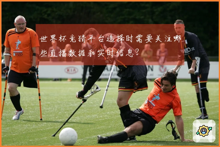 世界杯竞猜平台选择时需要关注哪些直播数据和实时信息？