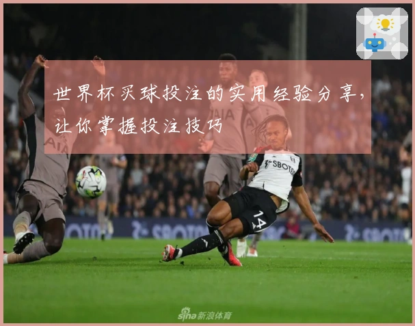 世界杯买球投注的实用经验分享，让你掌握投注技巧