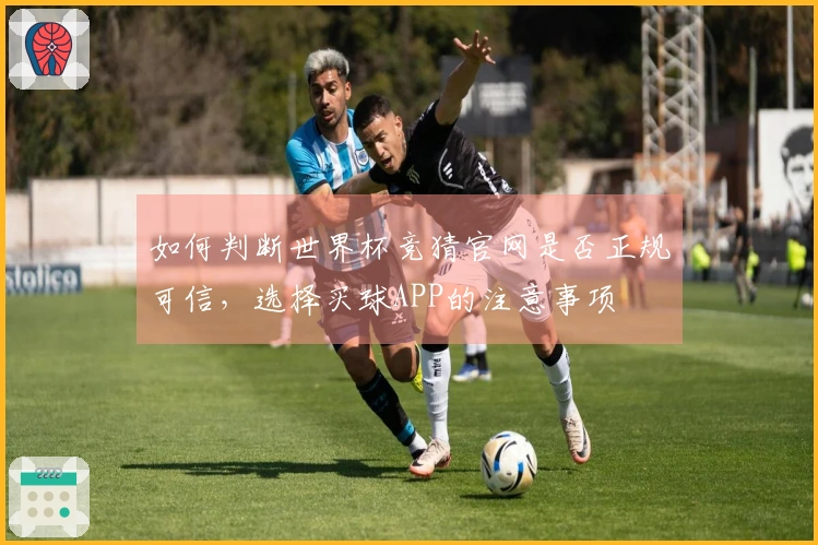 如何判断世界杯竞猜官网是否正规可信，选择买球APP的注意事项