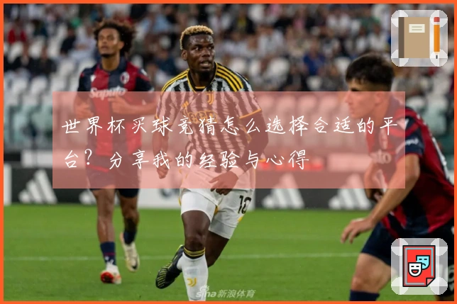 世界杯买球竞猜怎么选择合适的平台？分享我的经验与心得